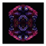 floral-nirvana-obraz-na-plotnie-85x85-cm-stan-nowy