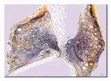 flutter-by-obraz-na-plotnie-120x85-cm-stan-nowy