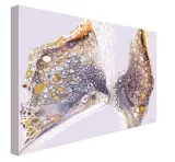 flutter-by-obraz-na-plotnie-80x60-cm