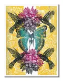 hummingbirds-obraz-na-plotnie-60x80-cm-stan-nowy
