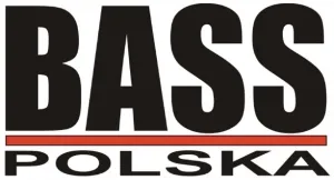 elektrostymulator-miesni-nerwow-ems-60-programow-stan-nowy-kolor-dominujacy-nie-dotyczy