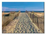 pathway-to-the-beach-obraz-na-plotnie-80x60-cm-stan-nowy