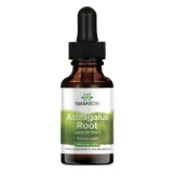 swanson-astragalus-root-liquid-extract-296-ml