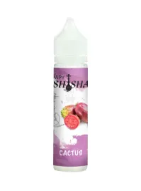 vapy-shisha-aromat-do-tytoniu-cactus