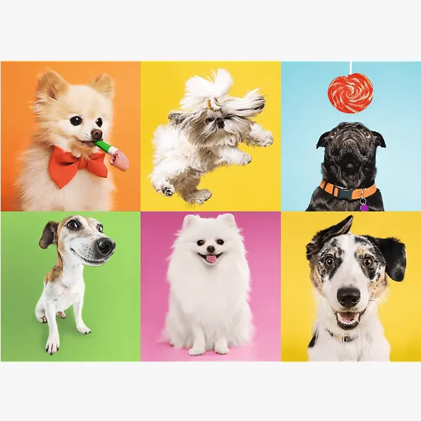 puzzle-500-psy-trefl-37378