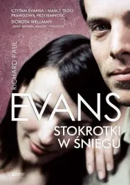 stokrotki-w-sniegu