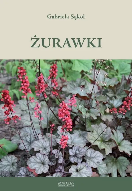 zurawki