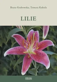 lilie