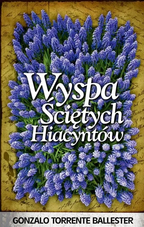 wyspa-scietych-hiacyntow