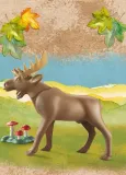 playmobil-71052-los-wiltopia-plec-chlopcy-dziewczynki
