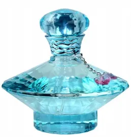 ttttt-britney-spears-curious-edp-spray-100ml