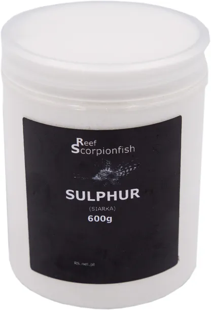 reef-scorpionfish-sulphur
