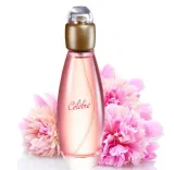 celebre-edt-50-ml