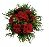 flower-box-stan-nowy