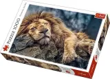 puzzle-1000-spiacy-lew-trefl