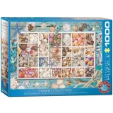 puzzle-1000-muszelki