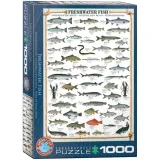 puzzle-1000-ryby-slodkowodne