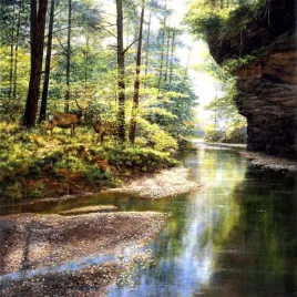puzzle-1000-dziki-las
