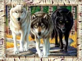 puzzle-1000-wilki