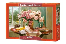puzzle-2000-a-present-for-lindsey-castor