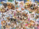 puzzle-2000-collage-selfie