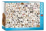 puzzle-2000-swiat-psow