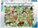 puzzle-2000-dzungla