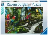 puzzle-2000-papugi-w-dzungli