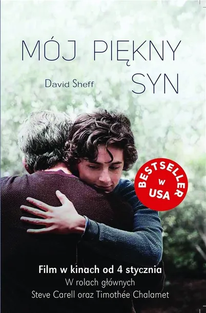 moj-piekny-syn-david-sheff