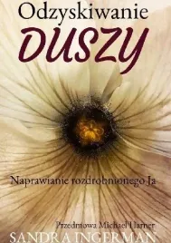odzyskiwanie-duszy-sandra-ingerman