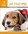 jak-zywic-psa