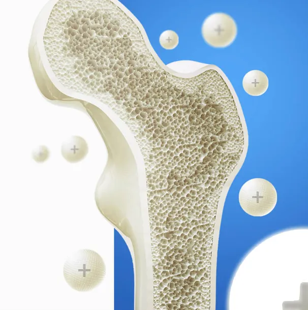 intercell-osteo-cf-kompleks-witamin-osteoporoza-liczba-sztuk-120