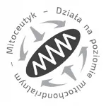 lkarnityna-mse-dr-enzmann-90-kaps-postac-kapsulki