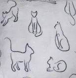 koc-kittens-150x200