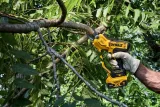 dewalt-sekator-18v-dcmpp568n-waga-narzedzia-1-34-kg