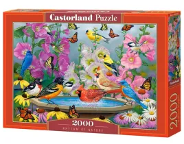puzzle-2000-elementow-ptaki-rytm-natury