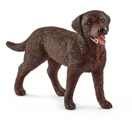 labrador-retriever-suczka