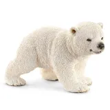 mlody-mis-polarny