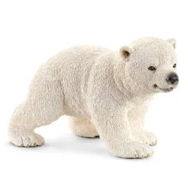 mlody-mis-polarny
