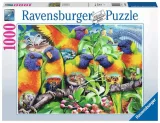 puzzle-2d-1000-elementow-kraina-lorikeet