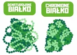 bialy-lis-kacza-defilada-mini-500g-marka-inna-wielkosc-psa-wszystkie-rasy