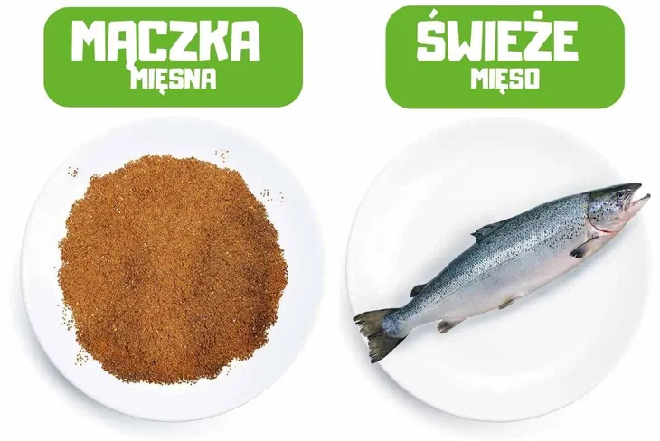 bialy-lis-kacza-defilada-mini-500g-wiek-zwierzecia-psy-dorosle-marka-inna