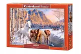 puzzle-500-winter-melt-castor