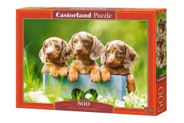 puzzle-500-cute-dachshunds-castor