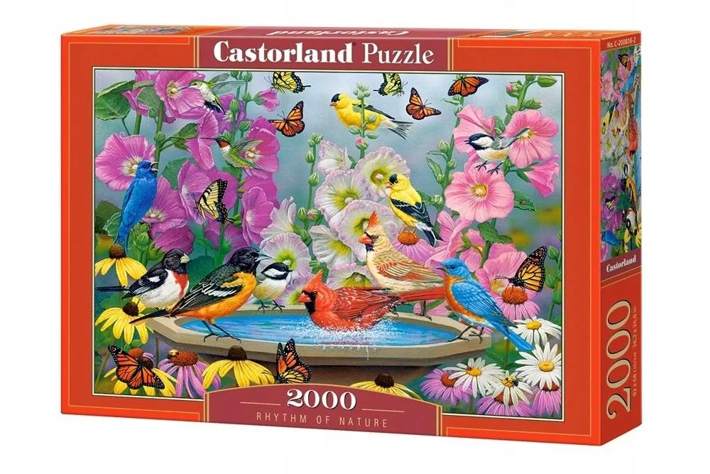 puzzle-2000-rhythm-of-nature