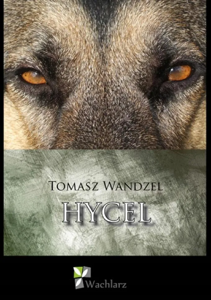 hycel-tomasz-wandzel