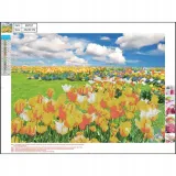 mozaika-diamentowa-5d-30x40cm-fields-89757