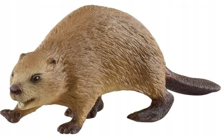 bobr-schleich