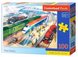 puzzle-100-train-station-castor