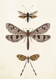 karnet-st407-b6-koperta-wazki